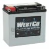 Westco AGM Batterie 12Ah 220 CCA