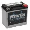 Westco AGM Batterie 19Ah 325 CCA