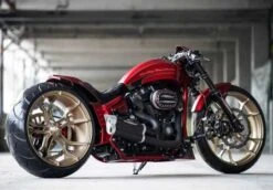 Einarmschwingen Umbau Kit 21" Alu -Elektrik Blitz Angebote Store 66 74 030 3a3