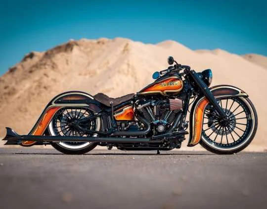 Frontfender El Dorado 23" 5 Frontfender El Dorado 23" – Bild 5