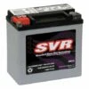 SVR AGM Batterie 14Ah 220CCA