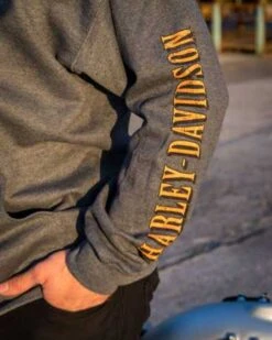 Harley-Davidson Zip Hoodie Mini Long Logo Grau -Elektrik Blitz Angebote Store r004549v 51